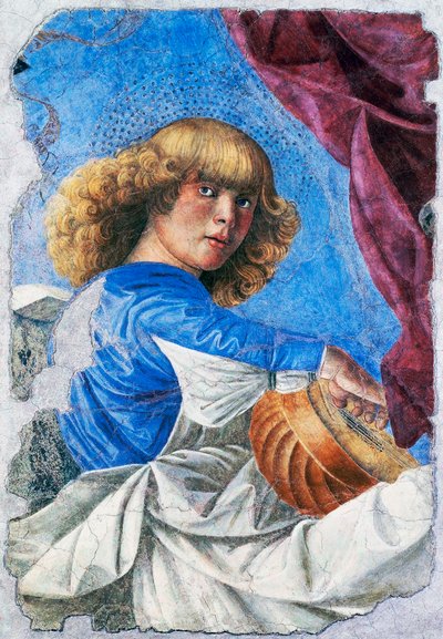 Angel playing lute,1480, Fresco by Melozzo da Forli (1438-1494), Detached fresco from Ascension of Christ fresco, Italy بواسطة Melozzo da Forli