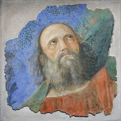 رأس الرسول ، حوالي عام 1480 (جصية) بواسطة Melozzo da Forli