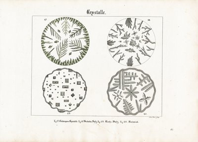الأشكال البلورية للأملاح المختلفة بواسطة مينو هاس