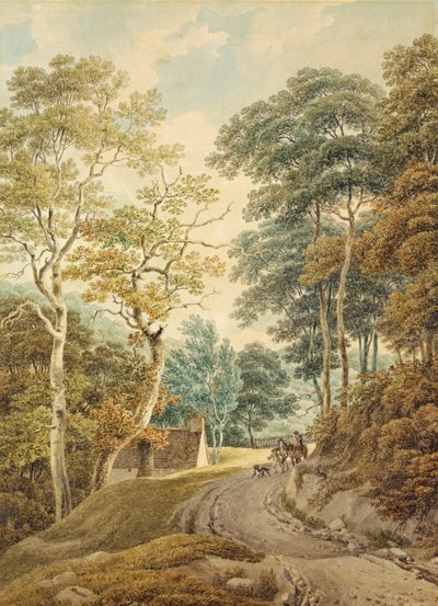 A Lane بالقرب من Hindhead بواسطة مايكل روكر