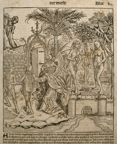 آدم وحواء ، رسم توضيحي من "Liber Chronicarum" بقلم هارتمان شيدل (1440-1514) نشر في نورمبرغ ، 1493 بواسطة مايكل و Pleydenwurff ، Wolgemuth