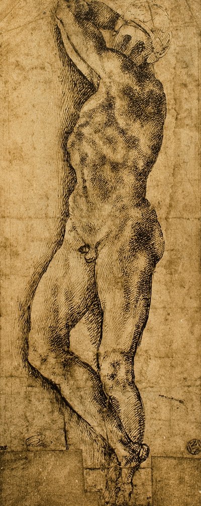 ذكر عاري رسم مايكل أنجلو. اللوفر ، باريس بواسطة مايكل أنجلو بوناروتي