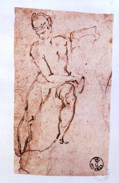 سقف كنيسة سيستين (1508-12): رسم تخطيطي لرسول (قلم وحبر بني) بواسطة مايكل أنجلو بوناروتي