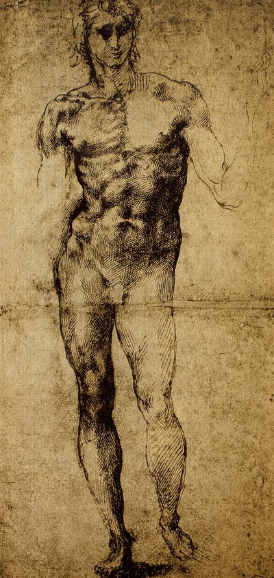 دراسة لعارية الذكور ، مايكل أنجلو بوناروتي (1475-1564) ، رسم ، باريس ، متحف اللوفر بواسطة مايكل أنجلو بوناروتي