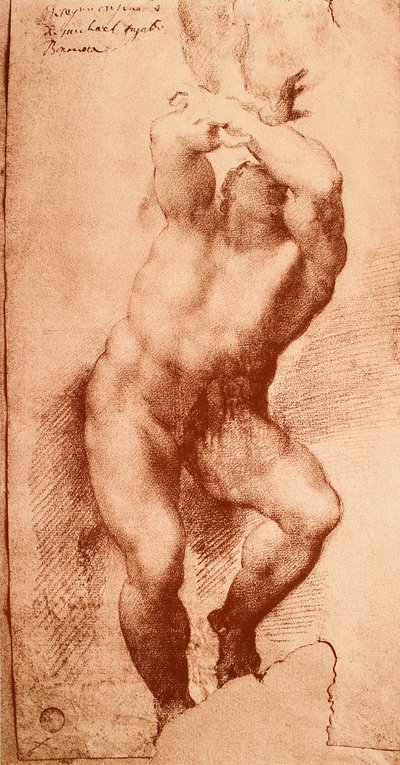 دراسة لإحدى شخصيات الحكم الأخير ، رسم مايكل أنجلو. غاليري ديل أكاديميسيا ، البندقية بواسطة مايكل أنجلو بوناروتي
