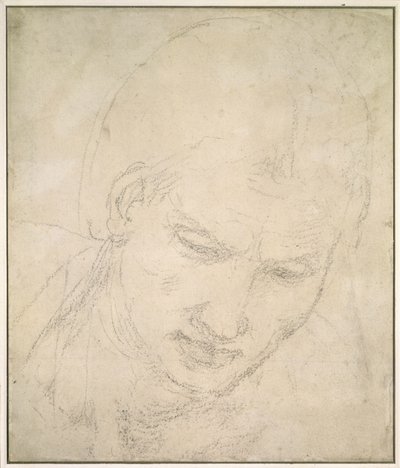 دراسة رأس (طباشير أسود على ورق أبيض) بواسطة Michelangelo Buonarroti