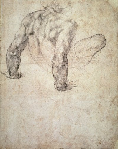 W.63r دراسة عري الذكور ، متكئ على يديه بواسطة Michelangelo Buonarroti