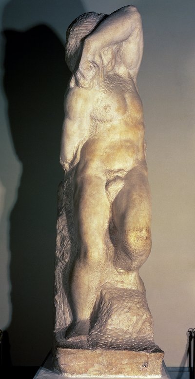 يونغ رقيق ، ج .1520-23 بواسطة مايكل أنجلو بوناروتي