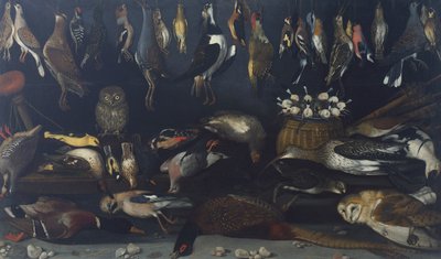 Still life with Birds, by Master of the Hartford Still-life (oil on canvas) بواسطة مايكل أنجلو ميريسي دا كارافاجيو