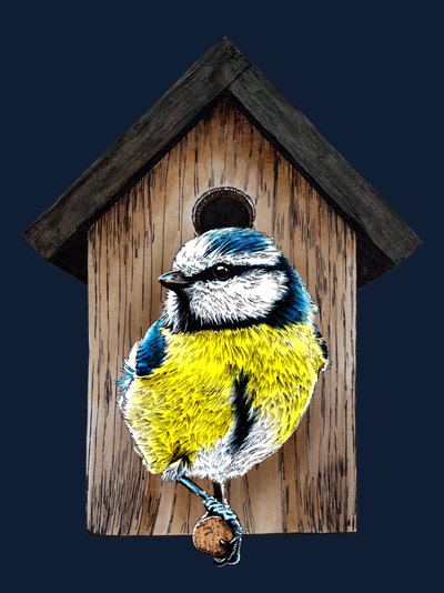 New Home Blue Tit في منتصف الليل الأزرق ، 2020 بواسطة مايك ديفيس