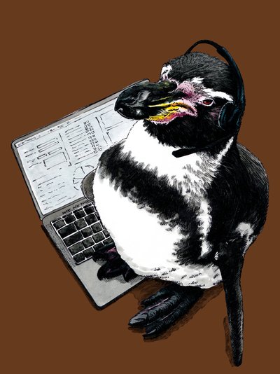 وظيفة New Job Penguin في Burnt Orange ، 2020 بواسطة مايك ديفيس
