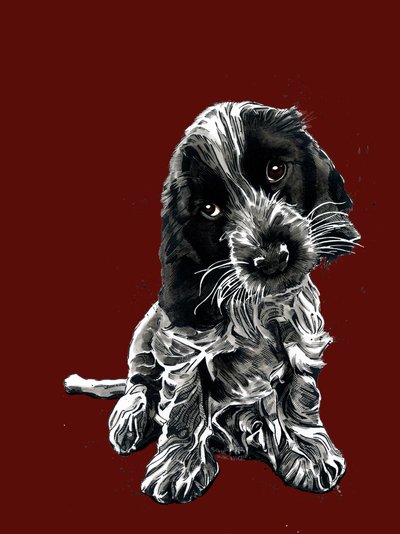 Rosie The Cocker Spaniel on Red Oxide ، 2020 بواسطة مايك ديفيس