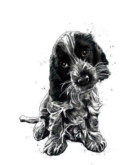 Rosie The Cocker Spaniel on White ، 2019 بواسطة مايك ديفيس