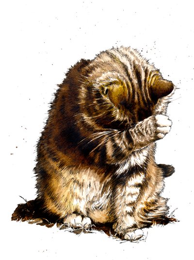 Smallfry The Cat on White ، 2019 بواسطة مايك ديفيس