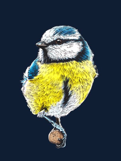 The Blue Tit في منتصف الليل الأزرق ، 2022 بواسطة مايك ديفيس
