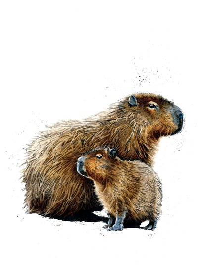 The Capybaras on White ، 2019 بواسطة مايك ديفيس