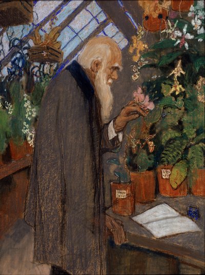 "" صورة للعالم تشارلز روبرت داروين (1809-1882) وهو يفحص النباتات في صوبة لانغدون داون "" لوحة رسمها ميخائيل دميترييفيتش إيزوتشيفسكي (1880-1928) 1920 متحف داروين الحكومي ، موسكو بواسطة ميخائيل دميتريفيتش إيزوتشيفسكي