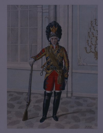 ضابط في فرقة فرسان حراس الحياة في 1764-1796 ، أوائل أربعينيات القرن التاسع عشر بواسطة ميخائيل إيفانوفيتش تيريبينيف