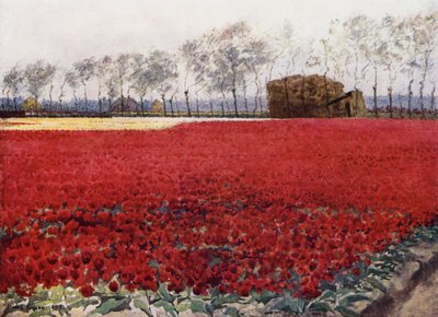 "Whose leaves with their crimson glow Hide the heart that lies burning and black below" (colour litho) بواسطة ميما نيكسون