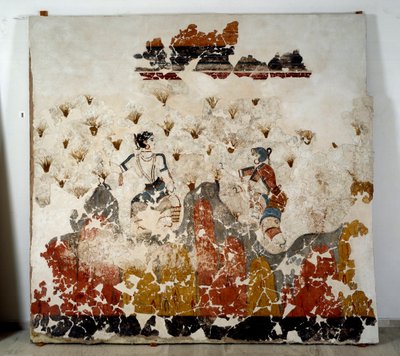 الحضارة المينوية: نساء قطف الزعفران. لوحة جدارية من حوض Lustral في Xeste 3 في أكروتيري (ثيرا) ، سانتوريني. خافت. 244x266 سم من القرن السادس عشر قبل الميلاد ، سانتوريني ، مجموعة اللوحات الجدارية لأكروتيري أ ثيرا بواسطة مينوان