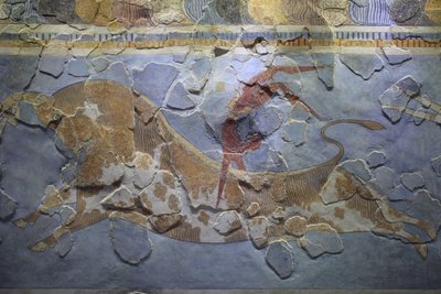 الفن المينوي. فريزو "الثور الوثب". مشهد قفزة الثور يصور كيف تم تنفيذ هذه الرياضة. تم العثور على اللوحة الجدارية على الجانب الشرقي من قصر كنوسوس بواسطة مينوان