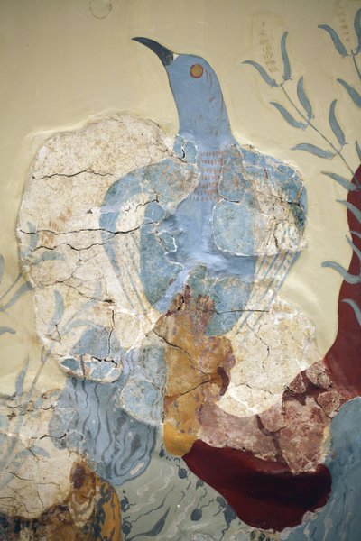 Minoen art. Detail of the “” Blue bird” Fresco or “” The blue bird of crete””. One of the earliest and most important paintings from the so-called ç House of Frescoes è at Knossos is that of the ç Blue Bird è. It is very fragmentary and most certainly belo بواسطة مينوان