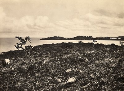 "بناء إمبراطورية" في العصر الفاشي: بحيرة تانا. إثيوبيا ، 09/05/1936 (b / w photo) بواسطة موديستينو بالدينيتي