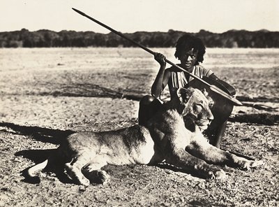"بناء إمبراطورية" في العصر الفاشي: مثال لأسد ، 09/05/1936 (b / w photo) بواسطة موديستينو بالدينيتي