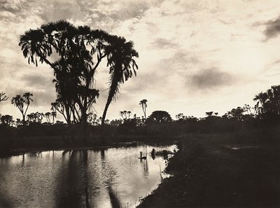 "بناء إمبراطورية" في العصر الفاشي: السهل الغربي السفلي ، 09/05/1936 (صورة بالأبيض والأسود) بواسطة موديستينو بالدينيتي