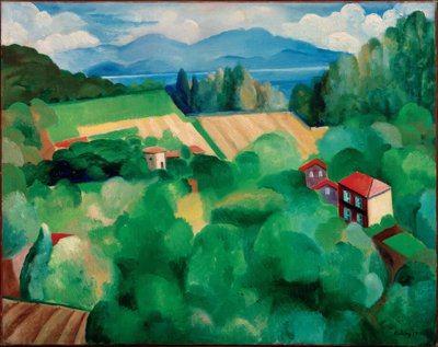 "المناظر الطبيعية في سانت تروبيه بواسطة مويس كيسلينج