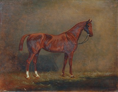 صورة لركوب الخيل بواسطة مونوجراميست AG