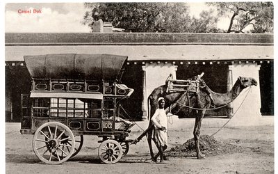 داك الجمل ، 1911-12 (صورة بني داكن) بواسطة مورلي ضور وأولاده
