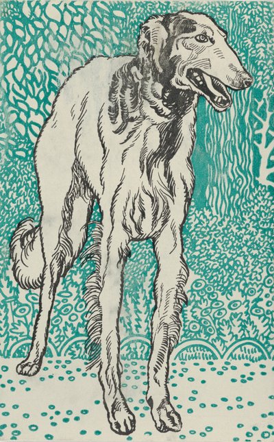 السلوقي ، 1912. بواسطة موريتز جونغ