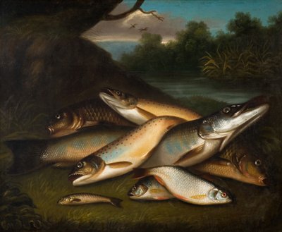 سمك ، 1790. بواسطة موسى هوتون