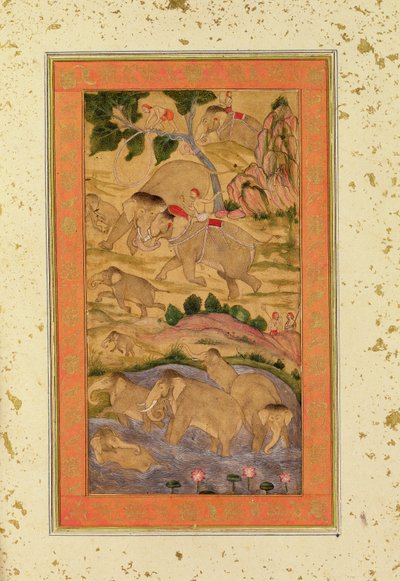 الصيادون الذين يلتقطون الفيلة ، من ألبوم Clive الكبير ، c.1760-65 (رسم ملون على الورق) بواسطة مدرسة موغال