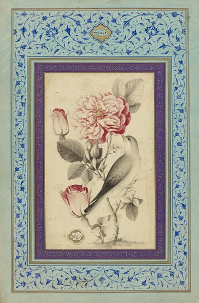 الورود والعندليب، أواخر القرن الثامن عشر (حبر وألوان على ورق) بواسطة Muhammad Baqir