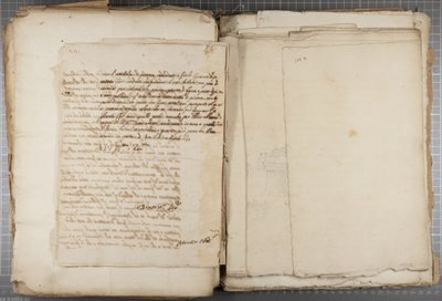 مجموعة رسومات كتبها Mutio Oddi من Urbino وآخرون ، p120 ، فيرس ، c.1635-40 (قلم وحبر على ورق في مجلد مقيد) بواسطة Muzio Oddi