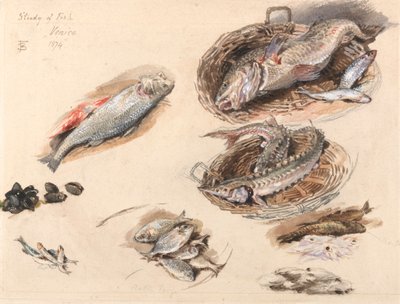 دراسة الأسماك ، البندقية بواسطة Myles Birket Foster