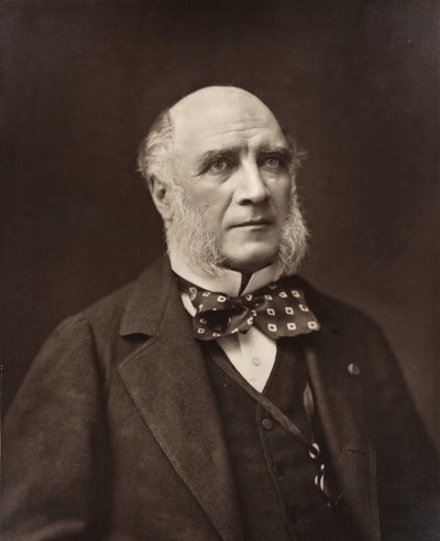 إيلي لويس ، دوك Decazes رجل دولة ودبلوماسي فرنسي ، 1819-1886 ، ج. 185377. بواسطة نادار