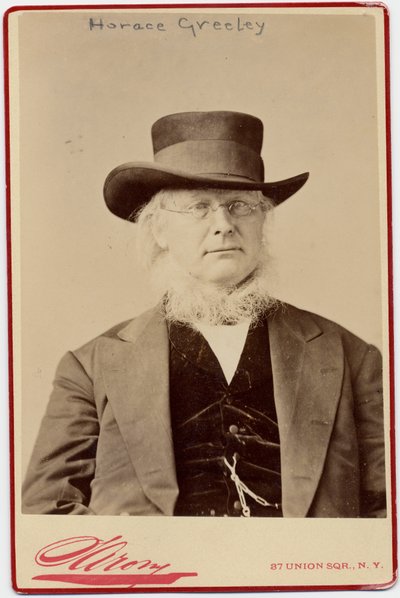 هوراس غريلي (1811-1872) ، محرر سياسي وصحفي أمريكي (صورة زخرفية) بواسطة نابليون ساروني