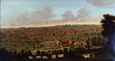 هاليفاكس ، يوركشاير ، 1798-1800 (زيت على قماش) بواسطة ناثان تيودور فيلدنج