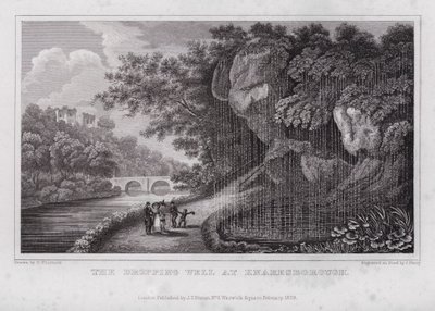 The Dropping Well at Knaresborough (engraving) بواسطة ناثانيال (بعد) ويتوك