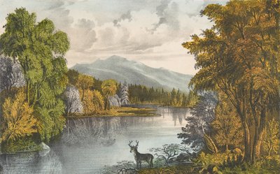 بحيرة موسهيد ، مين ، 1857-1872. ، 1857-1872. التأليف: ناثانيال كوريير ، وجيمس ميريت آيفز ، وكرير ، وآيفز. بواسطة كوريير وآيفز