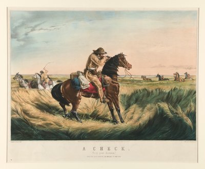 فحص بواسطة Nathaniel Currier