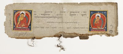 صفحة من مخطوطة بوذية ، ربما من Mahashitalanika ، c.1400 (مرحاض غير شفاف وحبر على ورق) بواسطة المدرسة النيبالية