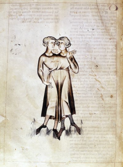 سلون 3983 f.8v رسم برج الجوزاء ، من ترجمة أطروحة فلكية فارسية بقلم جعفر بن محمد (ورق) بواسطة المدرسة الهولندية