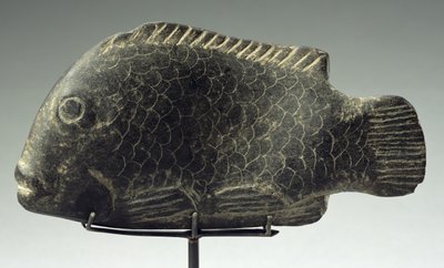 سمك 1540-1069 قبل الميلاد (حجر اسود صلب) بواسطة المملكة الحديثة المصرية