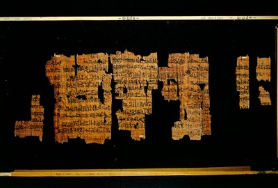 Fragments of the document containing the deeds of the Pharaoh Thutmose III (papyrus) بواسطة المملكة الحديثة المصرية