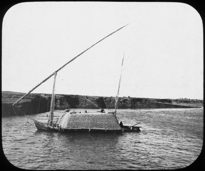 ذهبية لادن ، مصر ، c1890 بواسطة نيوتن وشركاه