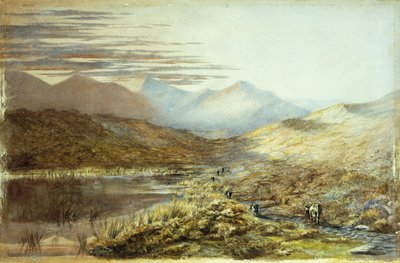 بحيرة بوكاكي ، نيوزيلندا ، 1872 بواسطة نيكولاس شوفالييه